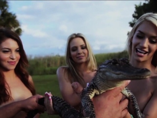 Hot blonde lesbian babes touched guys big aligator