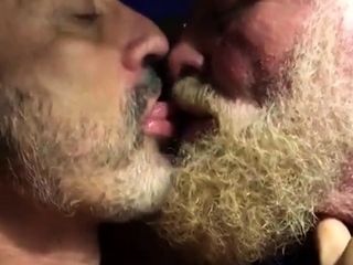 Hairy bears passionate kissing