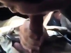 Car Blowjob With Cum